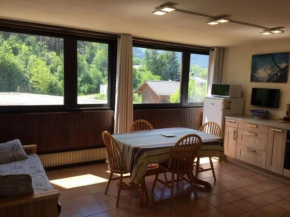 Studio Chamonix-Mont-Blanc, 1 pièce, 4 personnes - FR-1-507-20